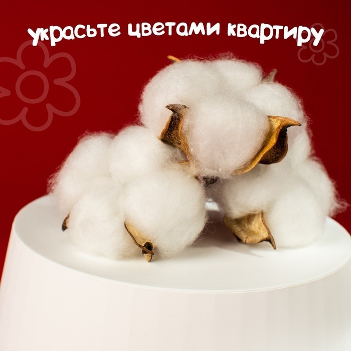 Сухие цветы хлопка, набор 3 шт., размер 1 шт. 6×6 см, голубые