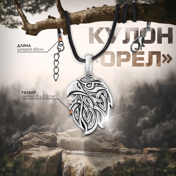 Кулон-оберег «Орёл» защитник, цвет чернёное серебро на чёрном шнурке, 60 см (Цена за 2 шт.)
